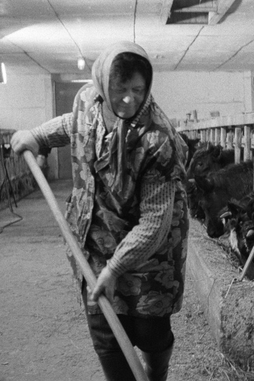 Im Märzen die Bäuerin (1971) poster