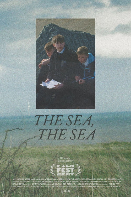 The Sea, The Sea (2024) poster