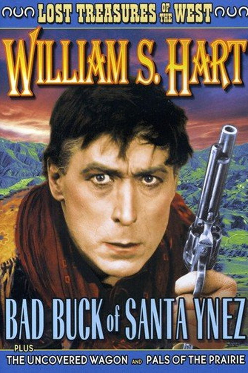 Bad Buck of Santa Ynez (1915) poster