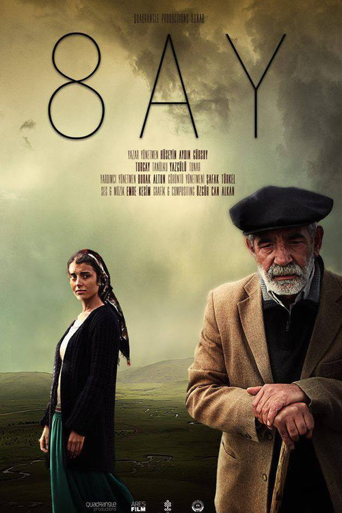 8 Months (2013) poster