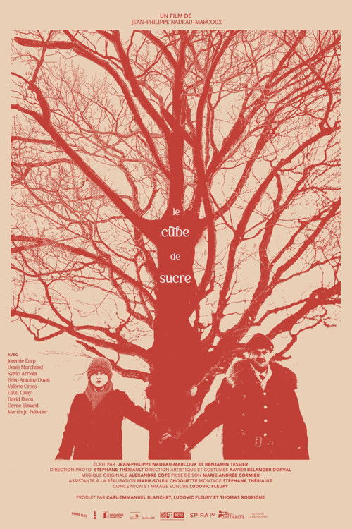 Le Cube de Sucre (2024) poster