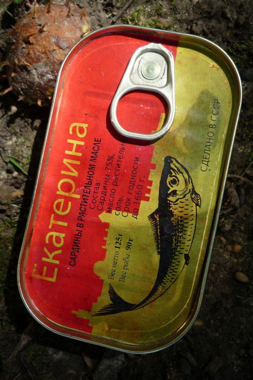 Crash Site/My_Never_Ending_Burial_Plot (2010) poster