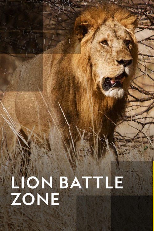Lion Battle Zone (2012) poster