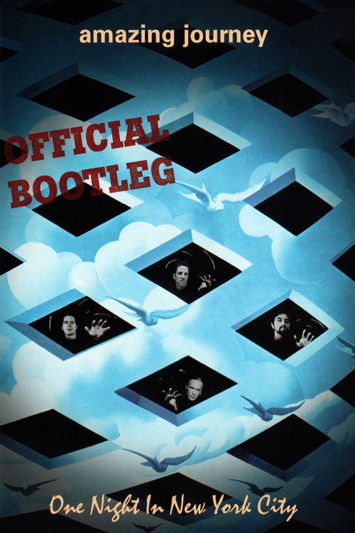 Amazing Journey: One Night in New York City (2006) poster