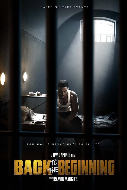 Back to the Beginning (2015) poster