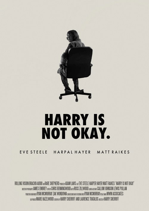 Harry Is Not Okay (2021) poster
