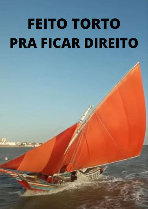 Feito Torto pra Ficar Direito (2015) poster