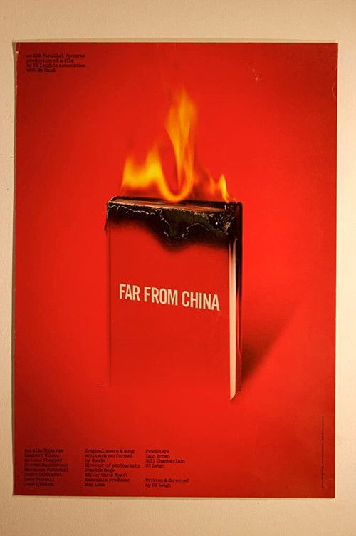 Far from China (2001) poster