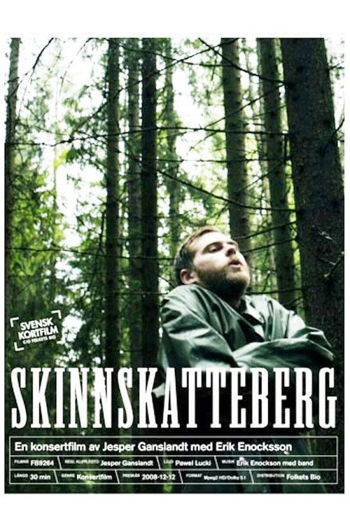 Skinnskatteberg (2008) poster