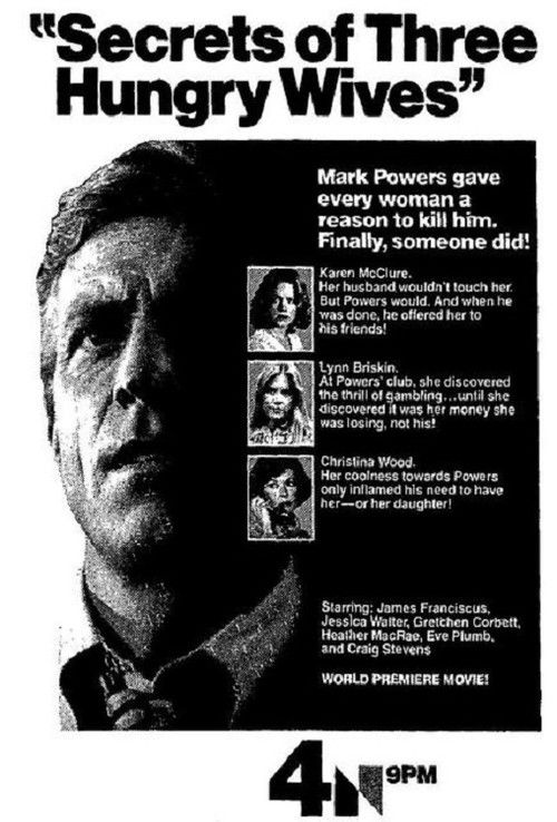 Secrets of Three Hungry Wives (1978) poster