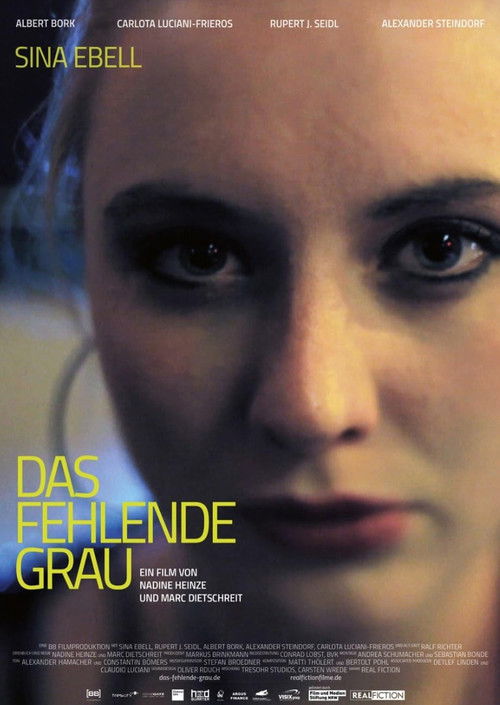 Das fehlende Grau (2015) poster