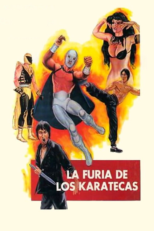 La furia de los karatecas (1982) poster