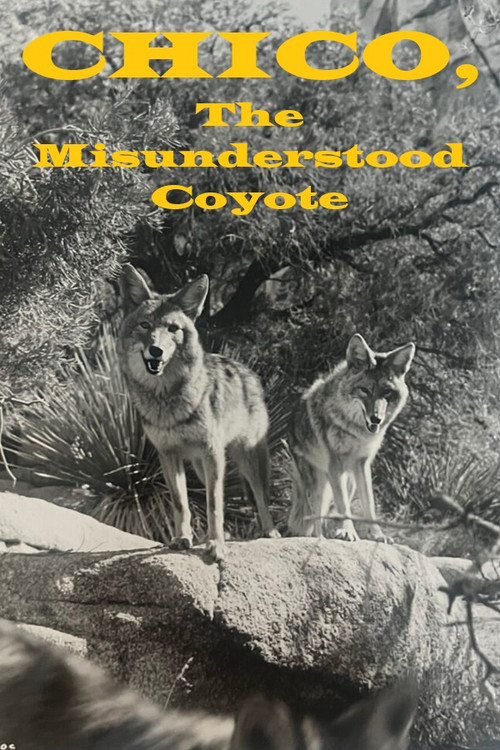 Chico, the Misunderstood Coyote (1961) poster