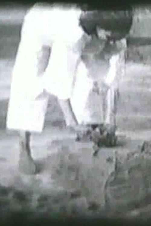 Pământul (1976) poster