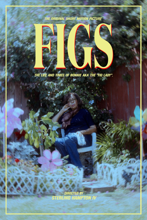 Figs (2023) poster