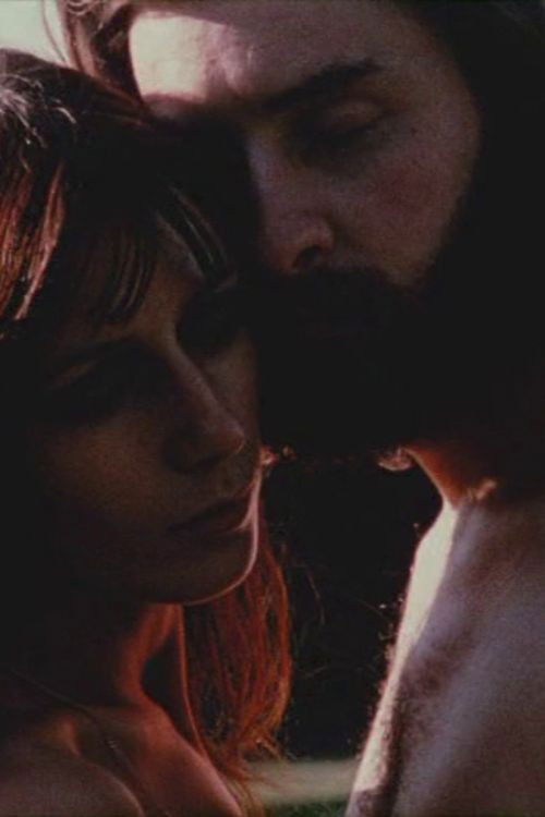 Le cinéma en deux (1972) poster