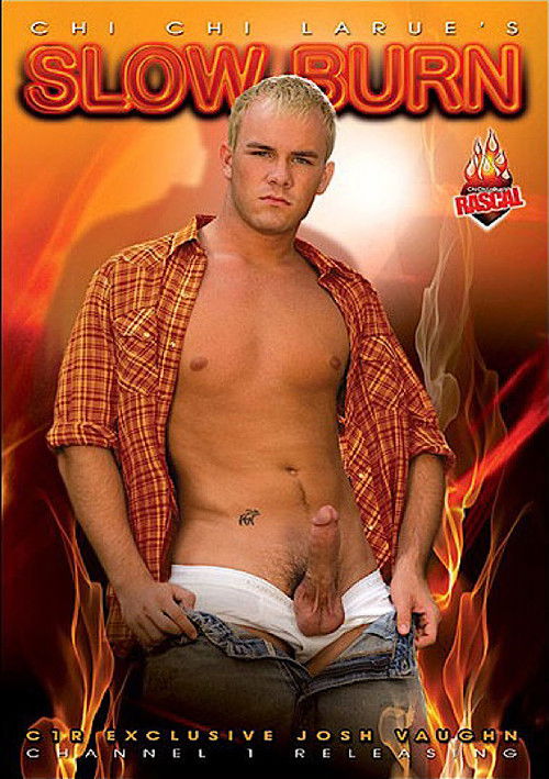 Slow Burn (2009) poster