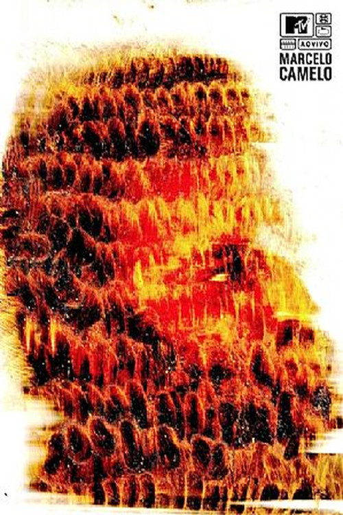 MTV Ao Vivo (2010) poster