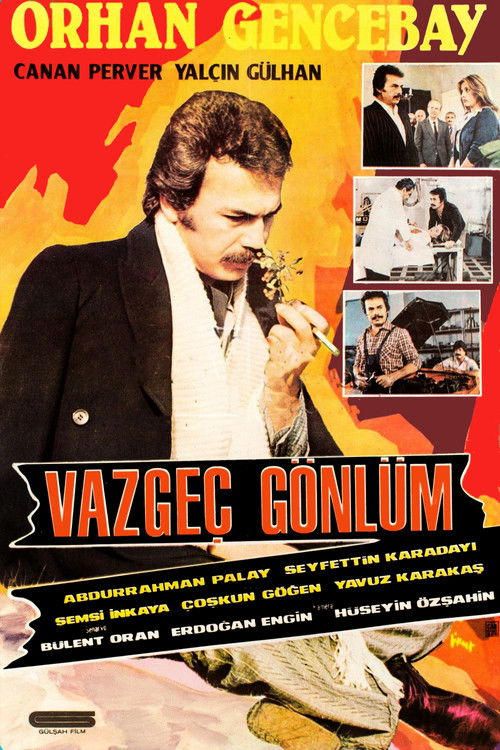 Vazgeç Gönlüm (1980) poster