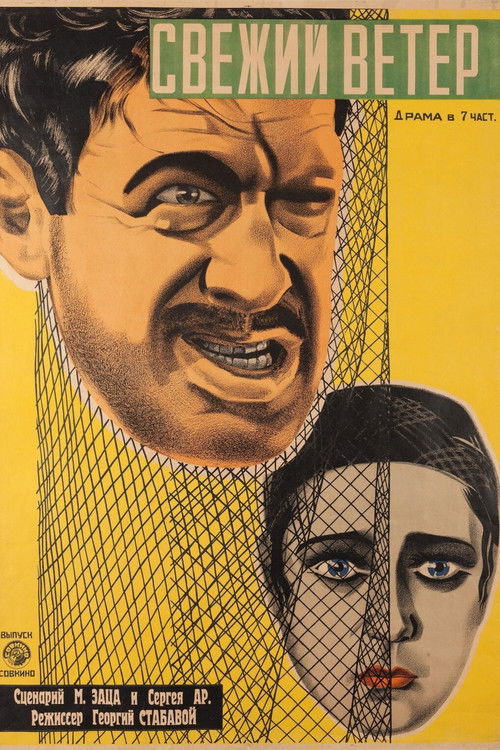 Fresh Wind (1927) poster