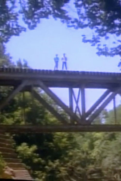 Has Anybody Seen Phil? (1989) poster