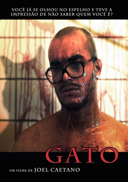 Gato (2009) poster