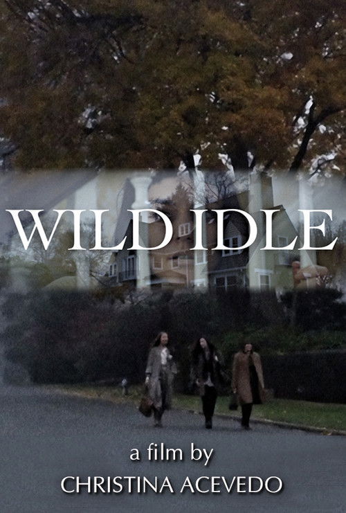 Wild Idle (2011) poster