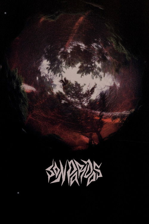 Grey at Night (2023) poster