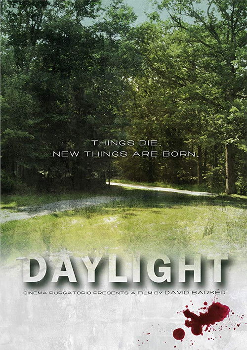 Daylight (2011) poster