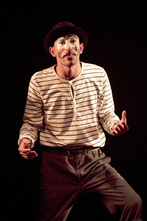 Journey of a Freedom Fighter (2014) poster