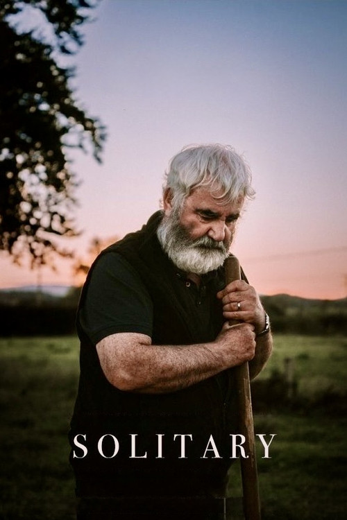 Solitary (2025) poster