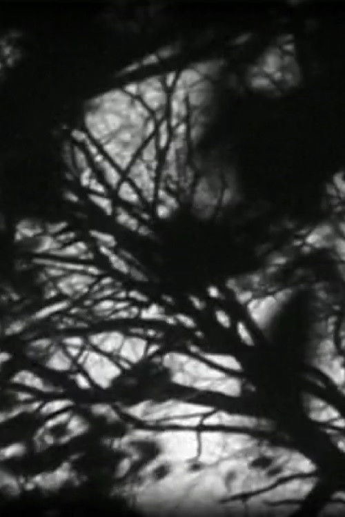 Masquerade (2006) poster