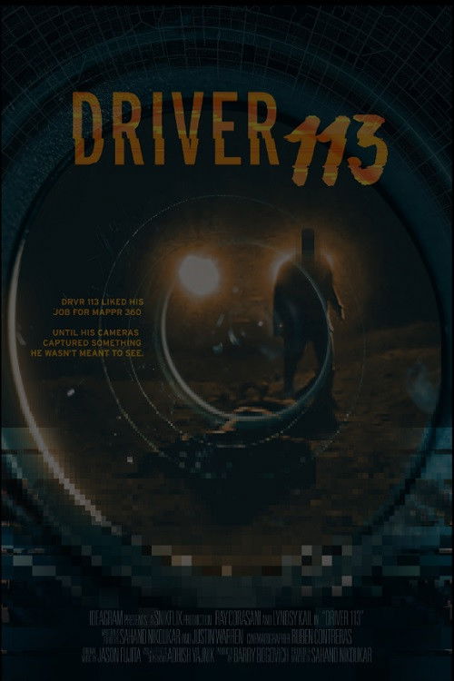 Driver 113 (2021) poster