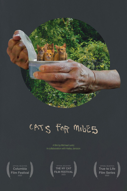 Cats for Miles poster