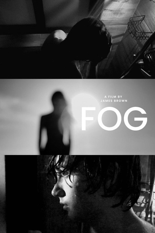 Fog (2025) poster