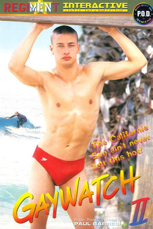 Gaywatch 2 (1999) poster