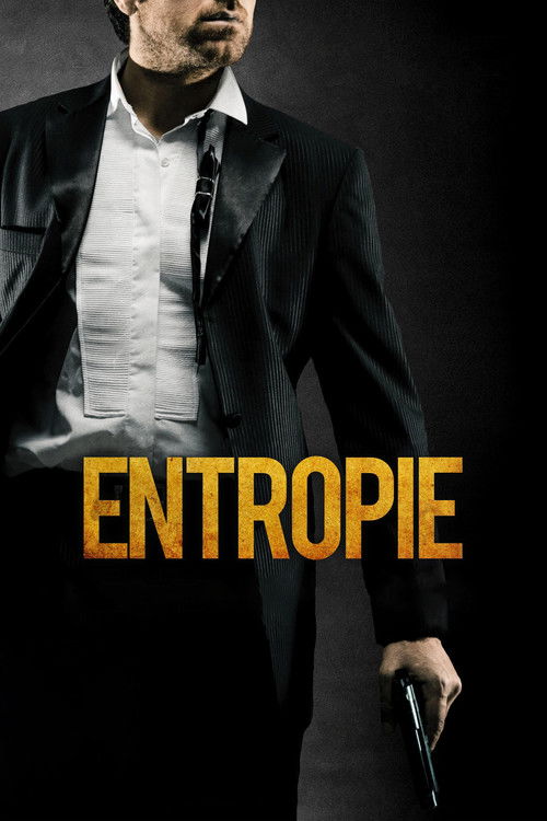 Entropie (2011) poster
