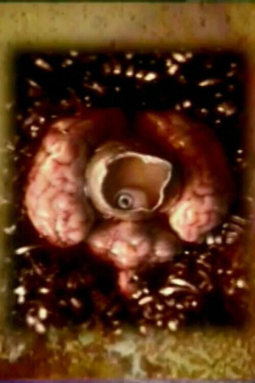 Sketchbook I (2001) poster