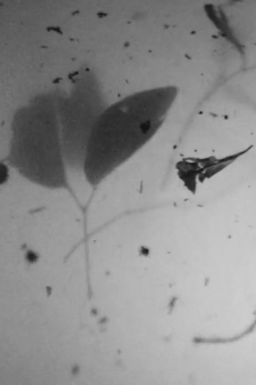 Jan Villa (2010) poster