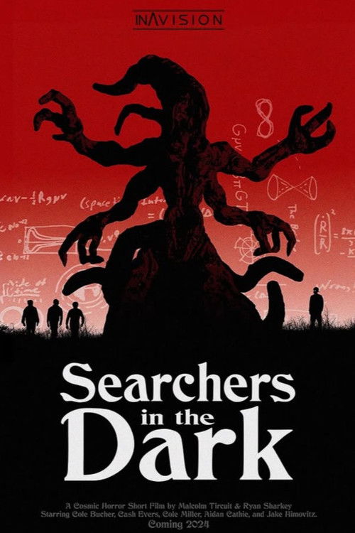 Searchers in the Dark (2024) poster