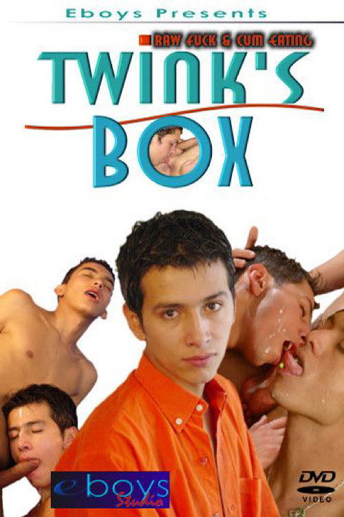 Twink's Box (2005) poster