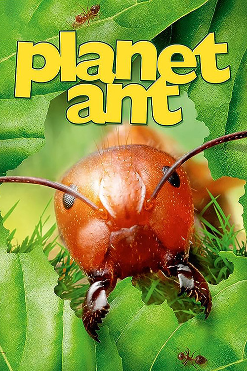 Planet Ant: Life Inside The Colony (2013) poster