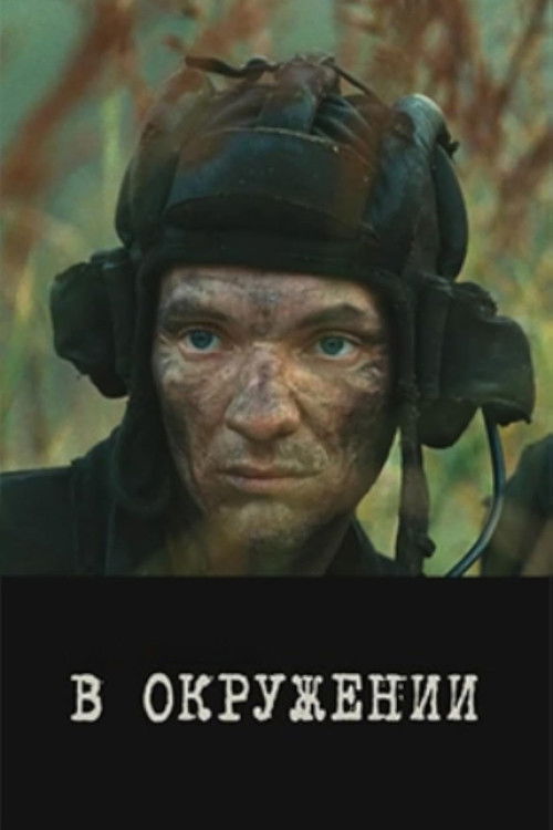 В окружении (2013) poster
