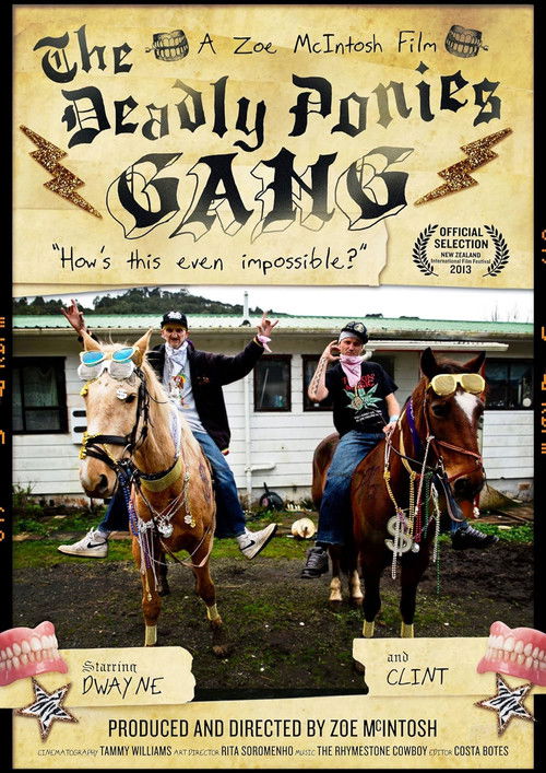The Deadly Ponies Gang (2014) poster