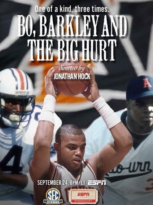 Bo, Barkley and the Big Hurt (2014) poster