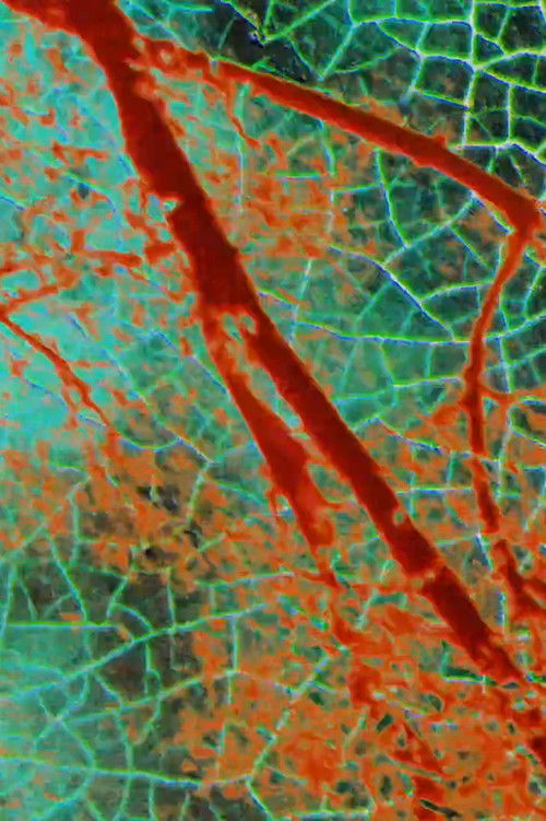 Seven Minutes in May (1995) poster