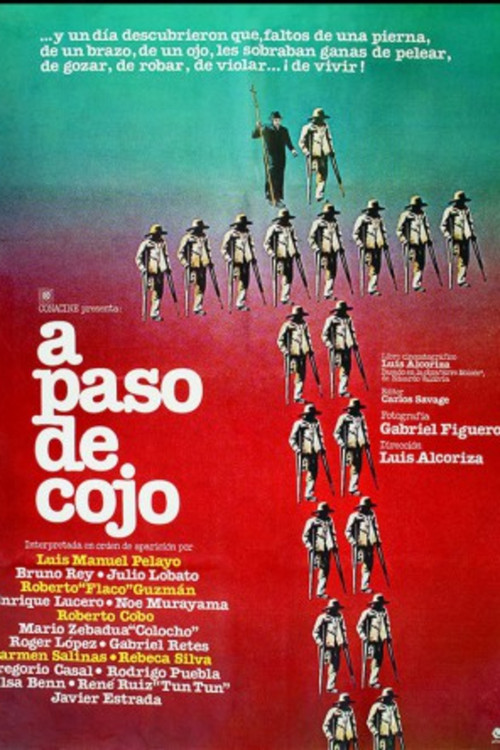 At a Lame Pace (1980) poster