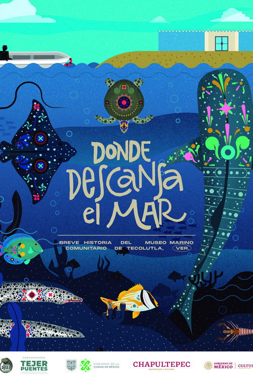 Donde descansa el mar: Breve historia del Museo Marino Comunitario de Tecolutla (2022) poster