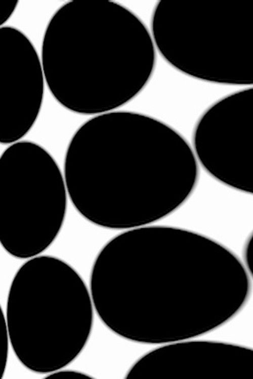 Transitions (2007) poster