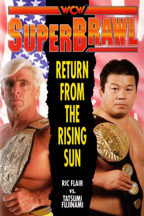 WCW SuperBrawl 1 (1991) poster